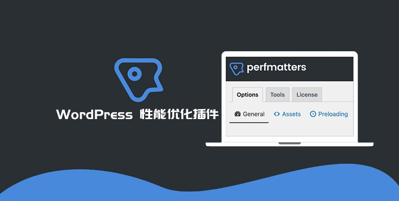 Perfmatters v2.5.6 汉化版    轻量级 WordPress 优化插件