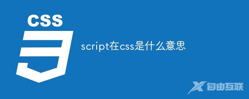 script在css是什么意思