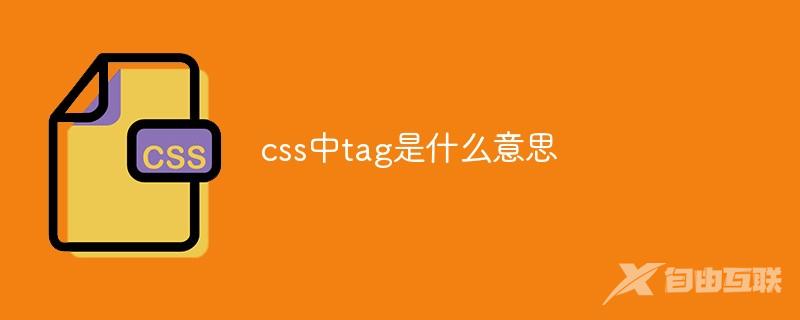 css中tag是什么意思