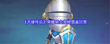 哪里能欣赏天缘传说荣耀骑士宠物图鉴