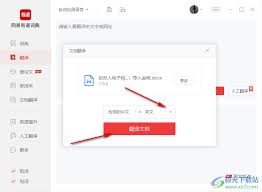 有道词典如何指定检测语言