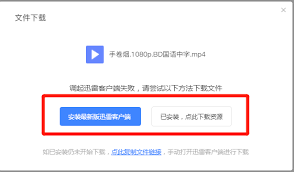 IDM下载器如何下载迅雷链接