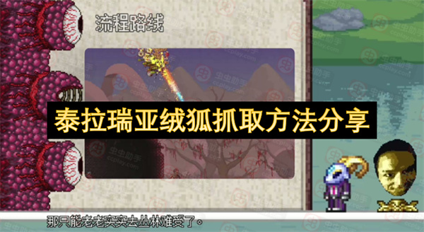 泰拉瑞亚绒狐抓取方法分享