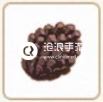 小森生活松果位置介绍