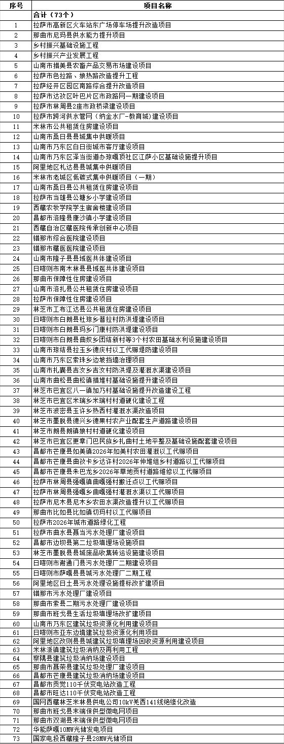 光储项目2个！西藏2026年第一批重点项目名单公布