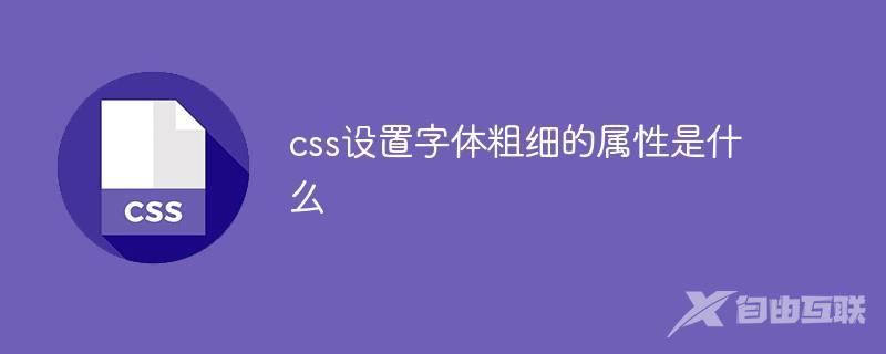 css设置字体粗细的属性是什么
