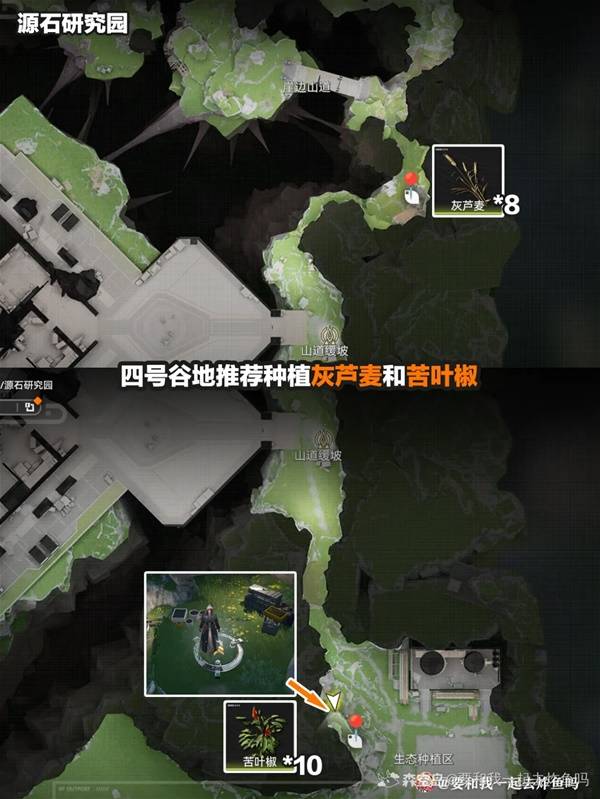 明日方舟终末地生态种植园种田攻略