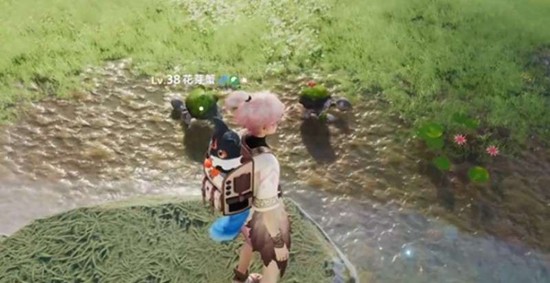 伊莫狼牙岭宠物怎么捕捉 全宠物位置分布路线