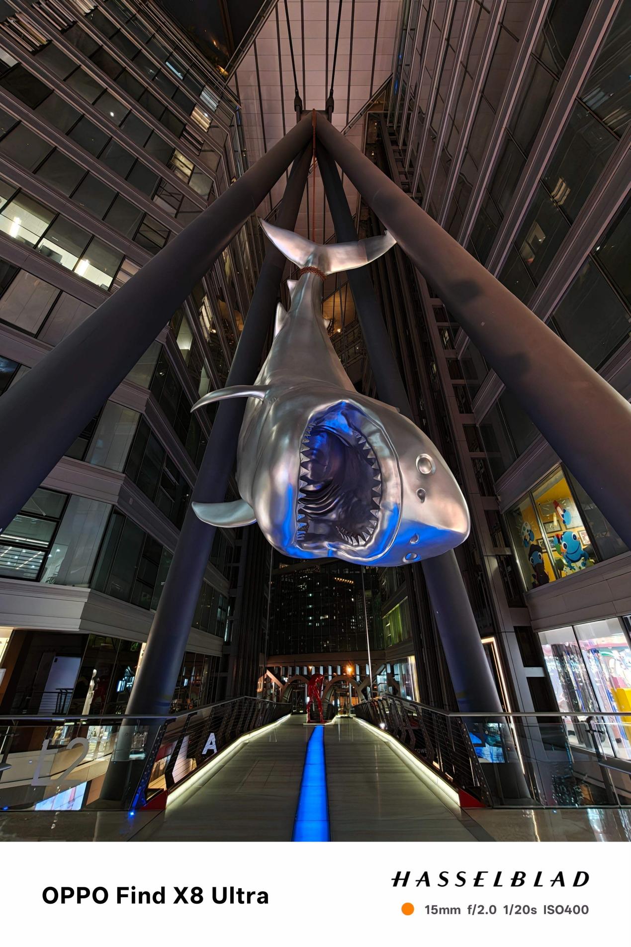 2026年值得入手的四大国产影像旗舰:哈苏、徕卡、蔡司、XMAGE谁调校更讨喜