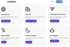 somi币有投资前景吗