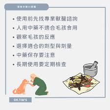 中草药宠粮如何进补