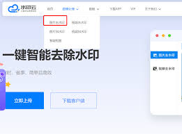 哪里有PDF去水印在线入口