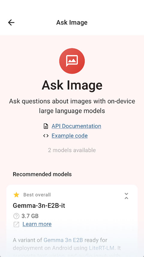 Google AI Edge Gallery