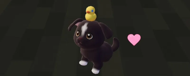 《心动小镇》黄色裂纹蛋位置详解