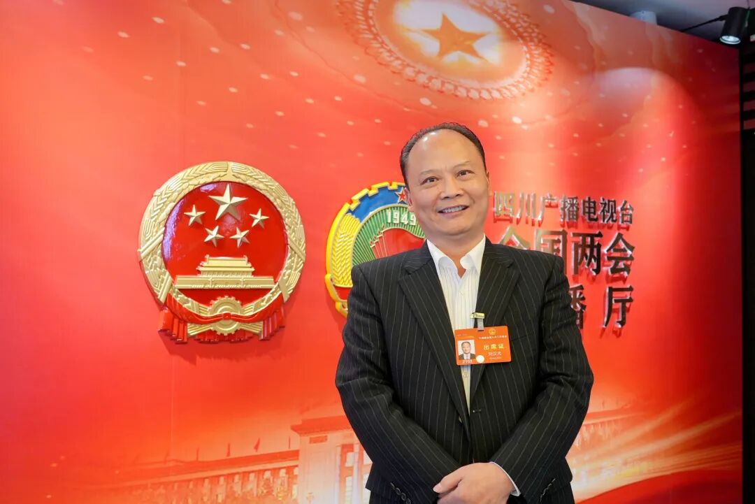 全国人大代表刘汉元建言：将光伏制造环节纳入能源行业管理，构建光伏价格风险防控机制