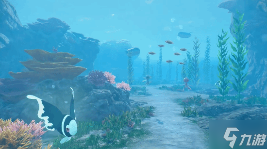 不上NS一代太对了!《宝可梦风波》画面未被拖累