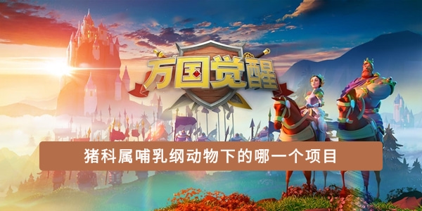 抖音加好友聊天教程