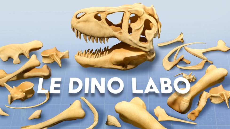 模拟恐龙骨骼拼装的MR游戏《Le Dino Labo》已登陆Quest