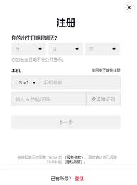 TikTok免安装入口在哪