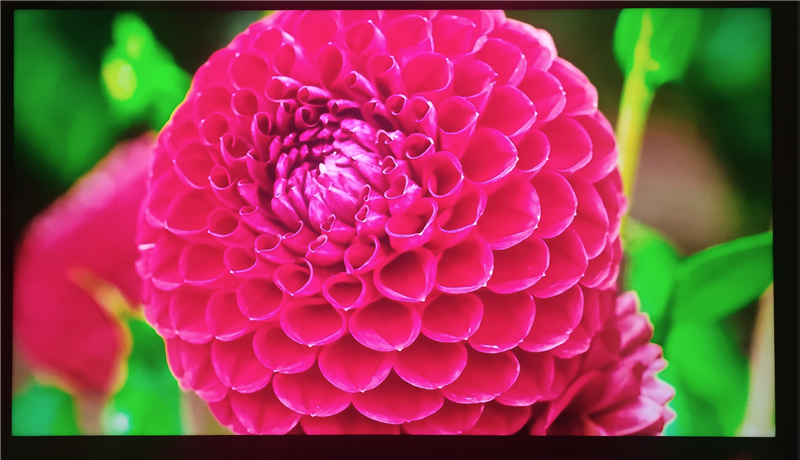 OLED时代终结者！RGB-Mini LED电视海信E8S评测：这才是好画质