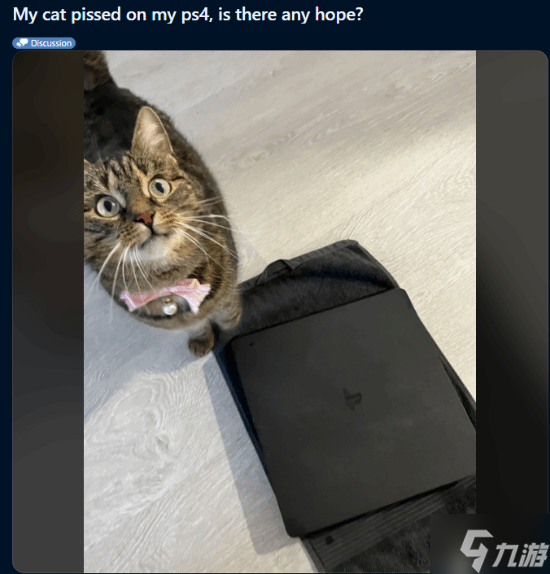 猫咪在PS4上尿了 网友崩溃求助 还有救吗