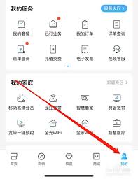 我的订单查询指南-本人订单快速查看方法