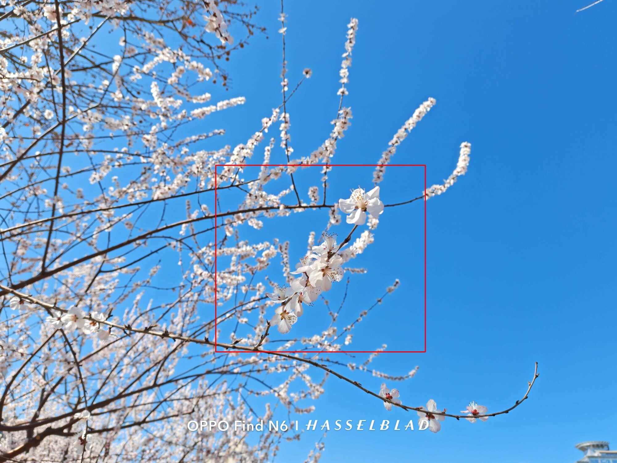 敢把2亿像素塞进折叠屏？OPPO Find N6影像实测来了