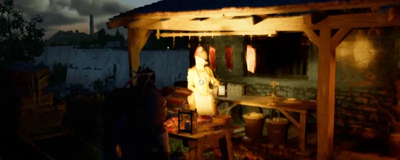 《红色沙漠》莱内的请求任务攻略