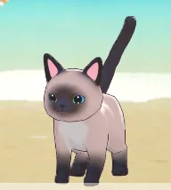 《星砂岛》喵呜铝送礼指南