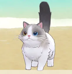 《星砂岛》404送礼指南