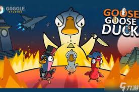 鹅鸭杀弃票有什么规则