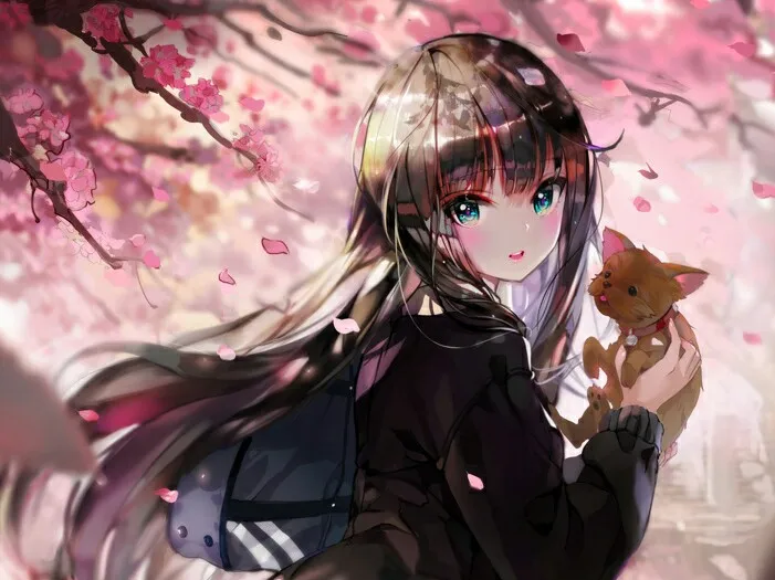 蛙漫无删减漫画怎么进-官网入口地址分享与使用教程