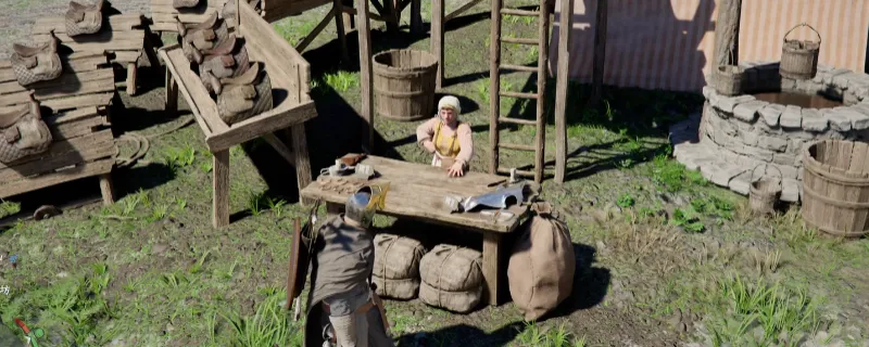 《红色沙漠》布鲁纳的请求任务攻略