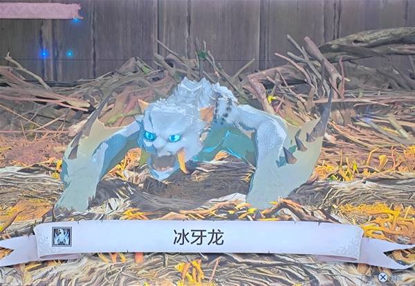 怪物猎人物语3侵兽奇怪龙打法攻略