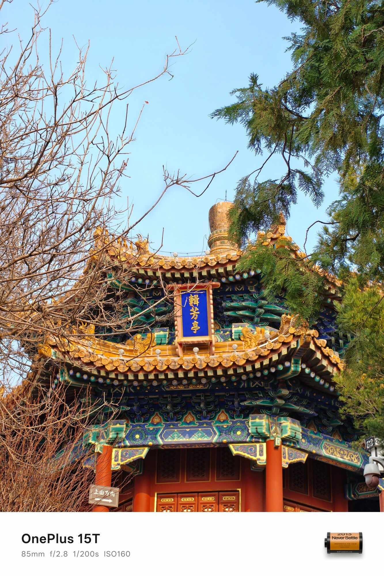 一加 15T全面评测：小屏大魔王，给到夯