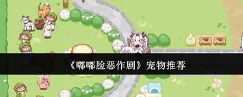 嘟嘟脸恶作剧有哪些宠物推荐