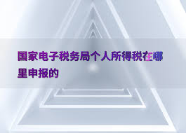 个人所得税登录入口在哪