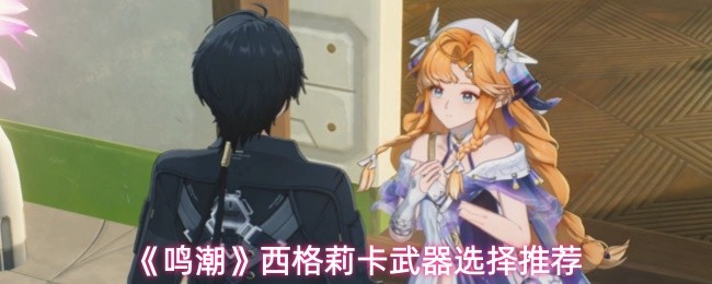 鸣潮西格莉卡武器怎么搭配 西格莉卡武器选择思路推荐