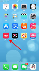 小红书ipad如何设置内容偏好