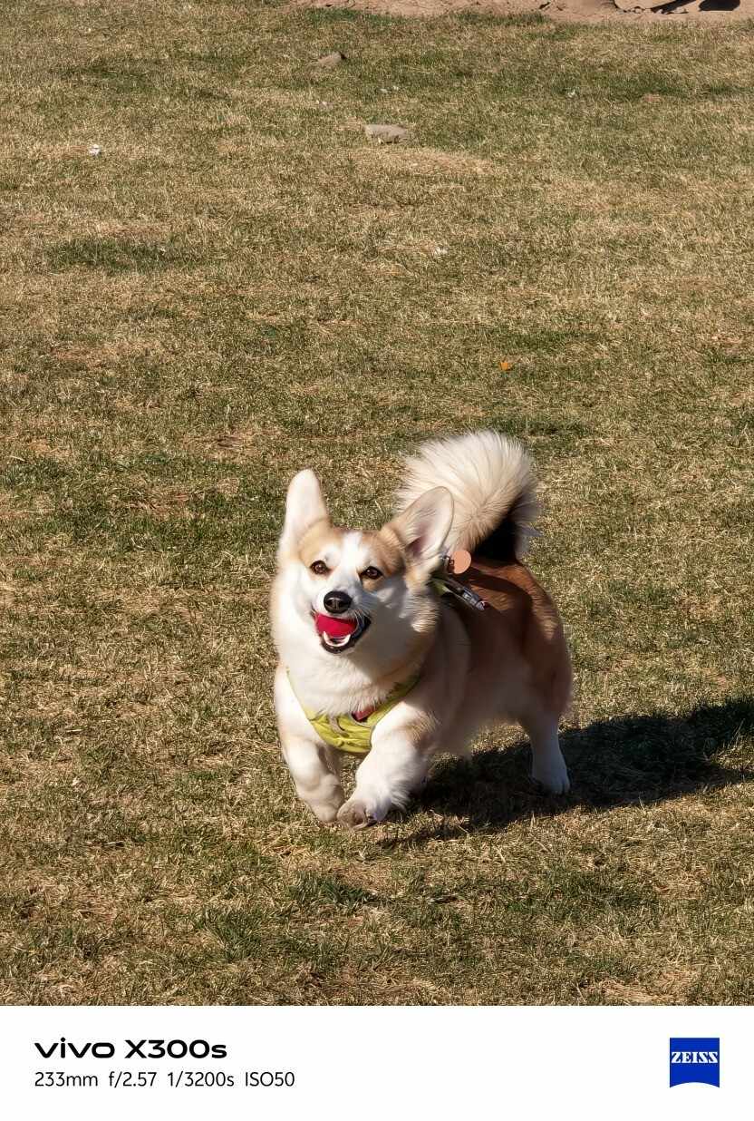 vivo X300s全面评测:把「长枪短炮」装进超能「小V单」