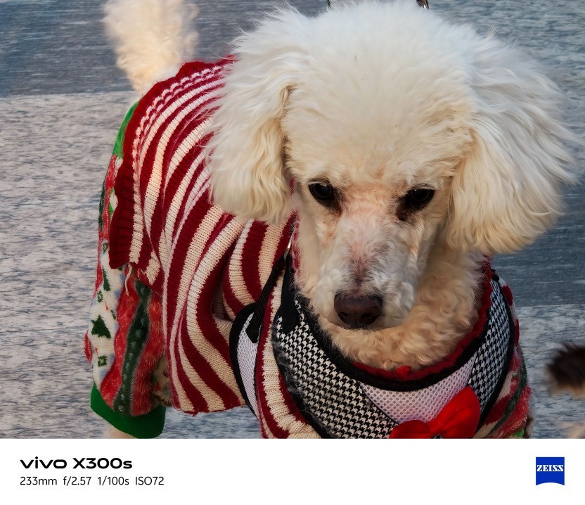 vivo X300s全面评测:把「长枪短炮」装进超能「小V单」