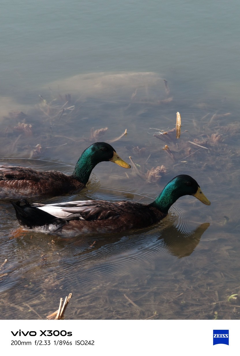 vivo X300s全面评测:把「长枪短炮」装进超能「小V单」