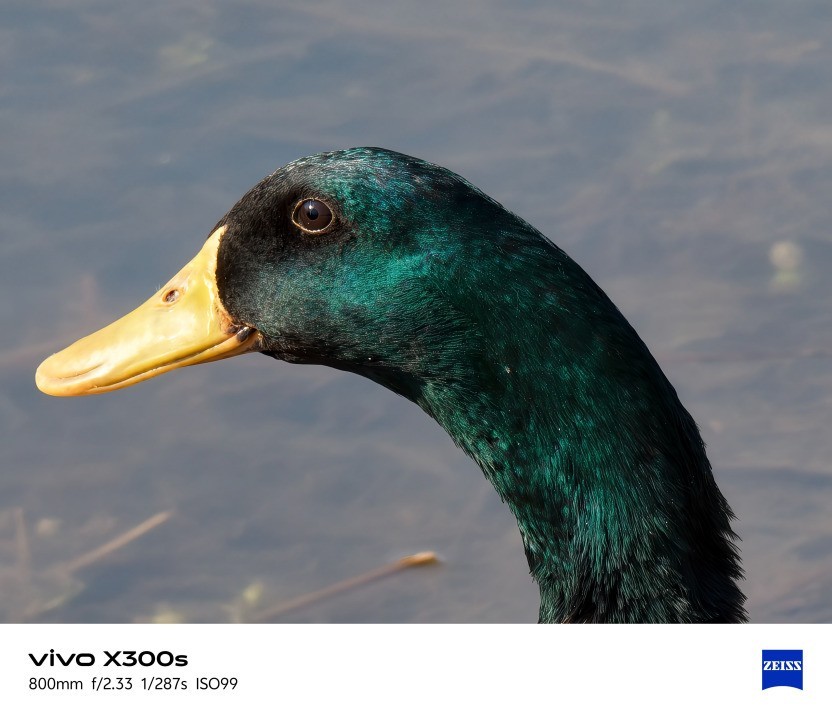 vivo X300s全面评测:把「长枪短炮」装进超能「小V单」