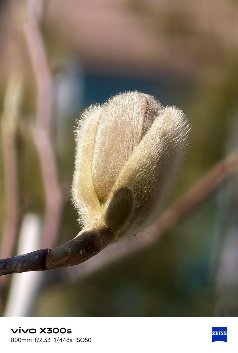 vivo X300s全面评测:把「长枪短炮」装进超能「小V单」