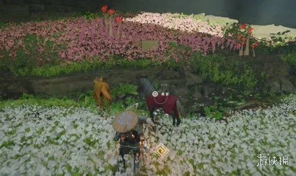 《红色沙漠》卡莫拉马获取攻略