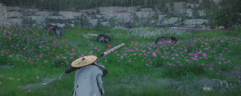 《红色沙漠》新手村获得利齿方法介绍