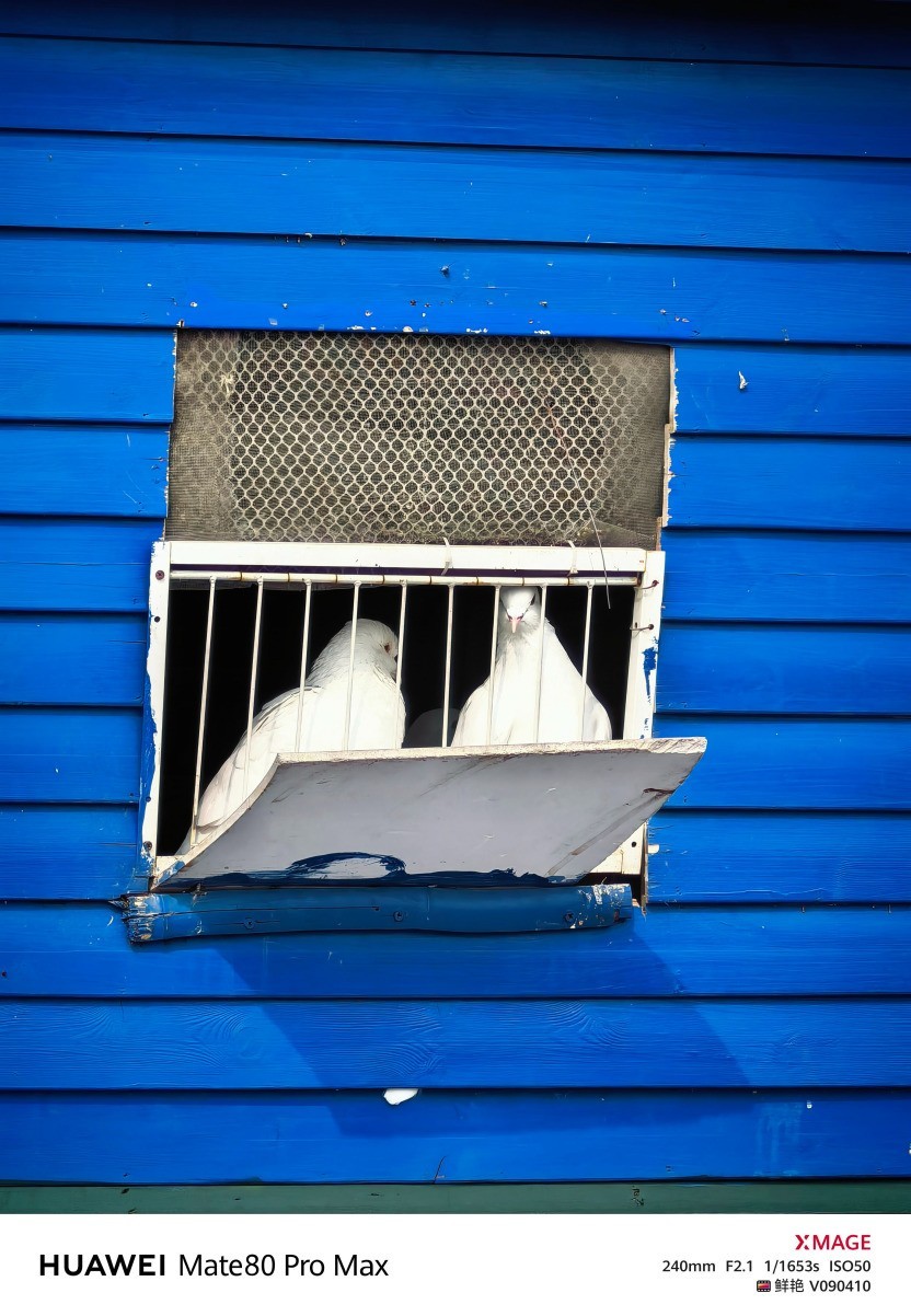 华为 Mate 80 Pro Max风驰版全面评测:把风吹进旗舰