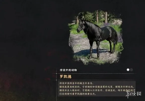 《红色沙漠》罗凯德马获取与驯服攻略-传说级黑色骏马详解