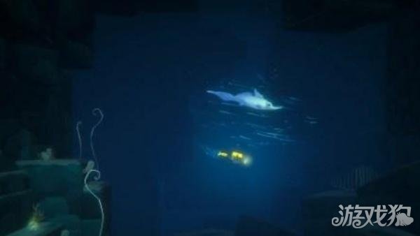 潜水员戴夫洪堡鱿鱼在哪抓