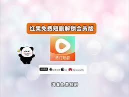 红果短剧正版网页版入口在哪免费直达